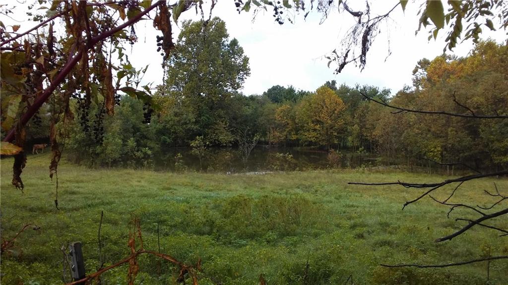 18 County Road 702, Berryville, AR 72616