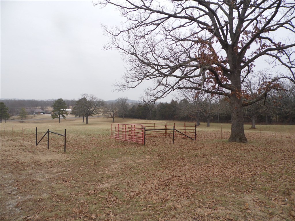 817N Hwy 21, Berryville, AR 72616