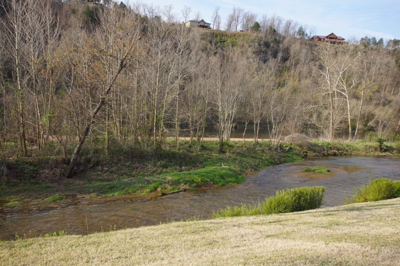 100 Hargis Place, Cotter, AR 72626