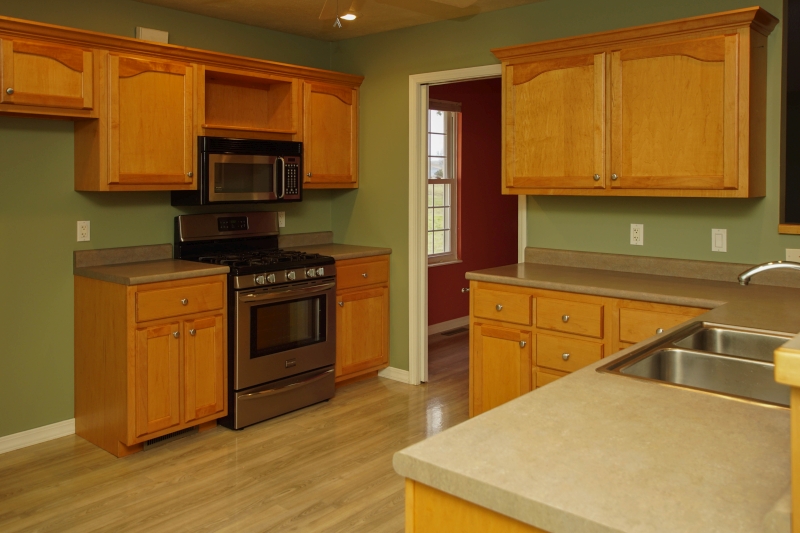 100 Hargis Place, Cotter, AR 72626