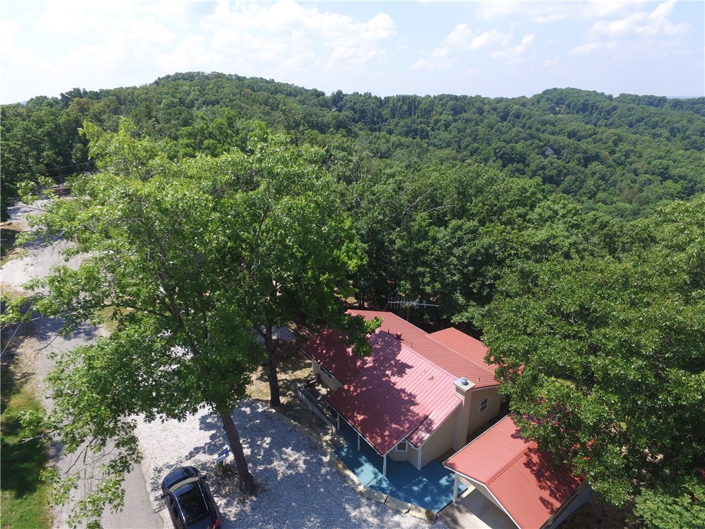 41 Ridge Rd, Eureka Springs, AR 72631