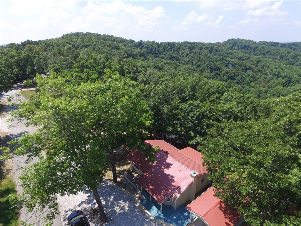 41 Ridge Rd, Eureka Springs, AR 72631