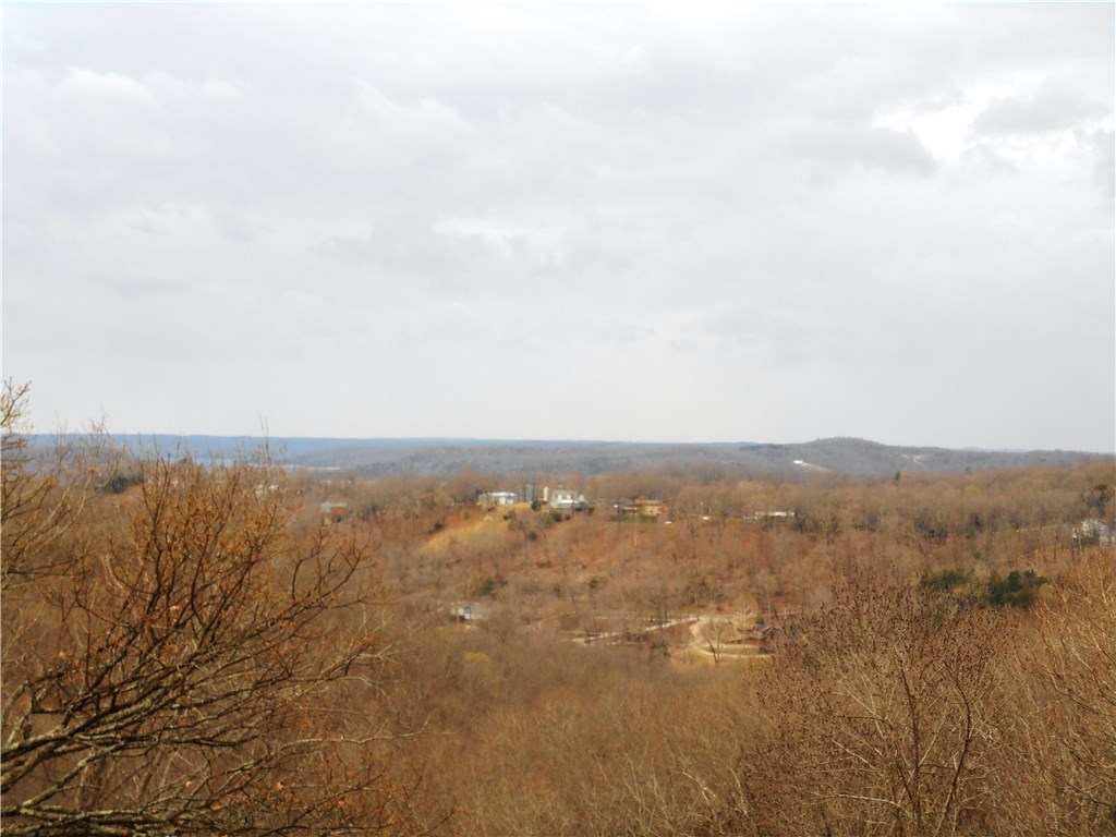 1877 Mundell Rd, Eureka Springs, AR 72631