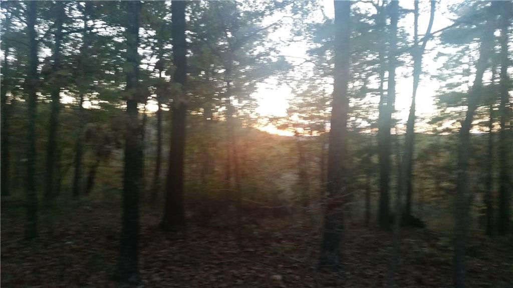 1502 MundellRD, Eureka Springs, AR 72631
