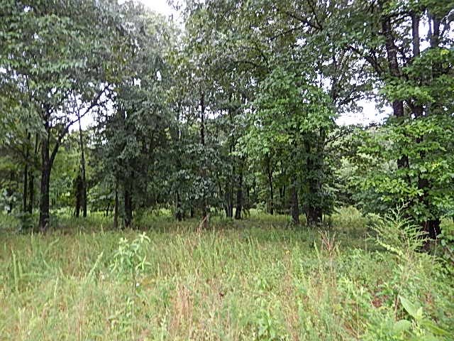 LOT 15 RIVERBEND DRIVE, Flippin, AR 72634