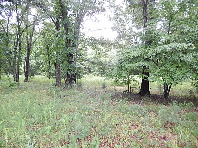 LOT 15 RIVERBEND DRIVE, Flippin, AR 72634