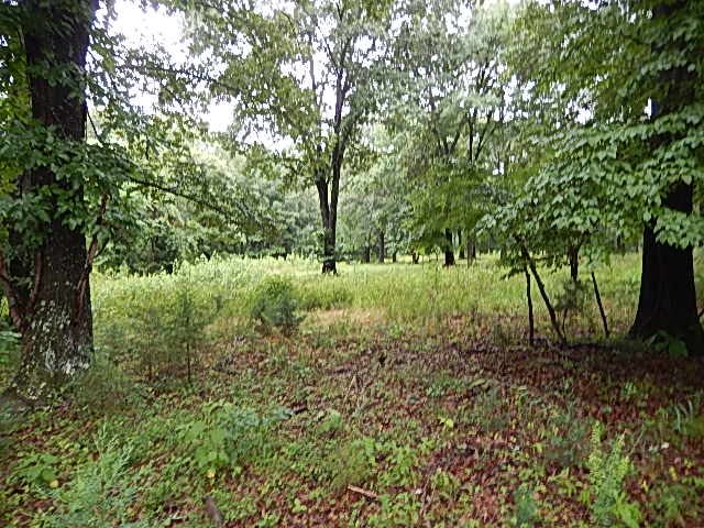 LOT 15 RIVERBEND DRIVE, Flippin, AR 72634