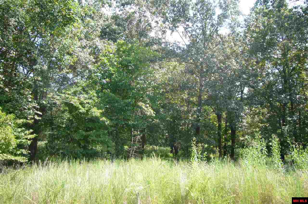LOT 14 MC 7002, Flippin, AR 72634