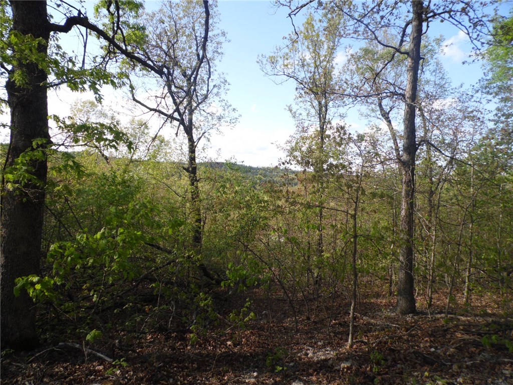 TBD Madison County 1425RD, Huntsville, AR 72638