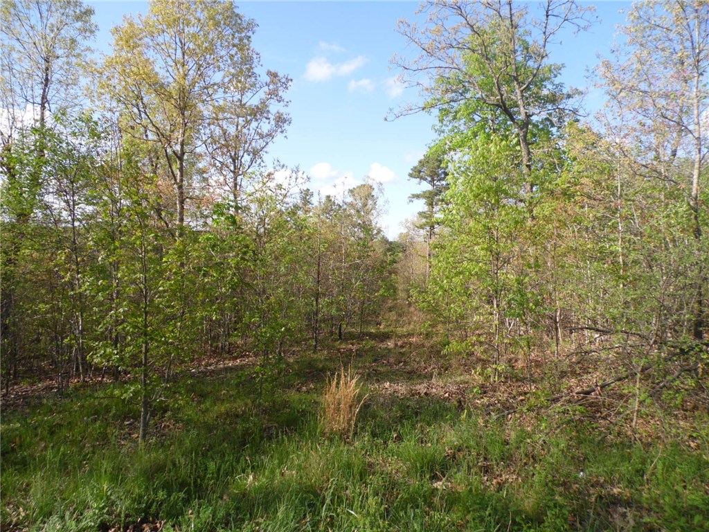 TBD Madison County 1425RD, Huntsville, AR 72638