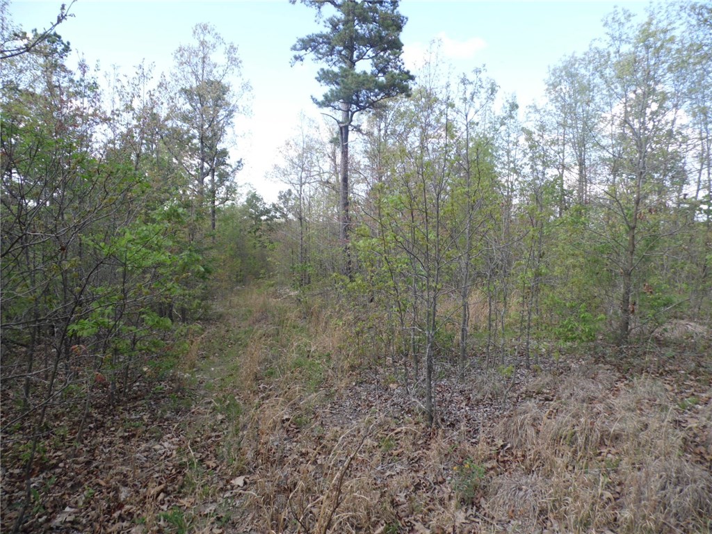 TBD Madison County 1425RD, Huntsville, AR 72638