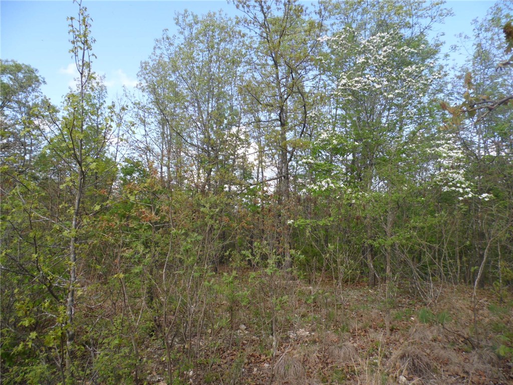 TBD Madison County 1425RD, Huntsville, AR 72638