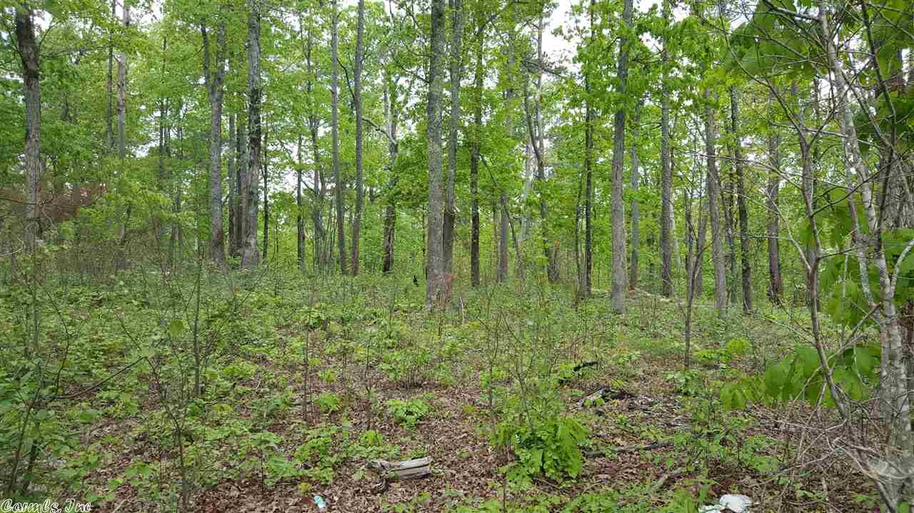 1011 Oxley Road, Leslie, AR 72645