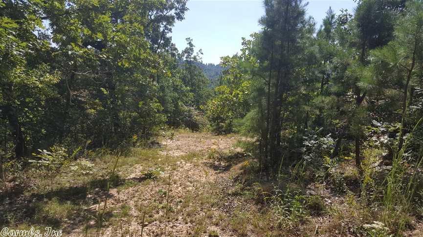 Scenic Drive, Marshall, AR 72650