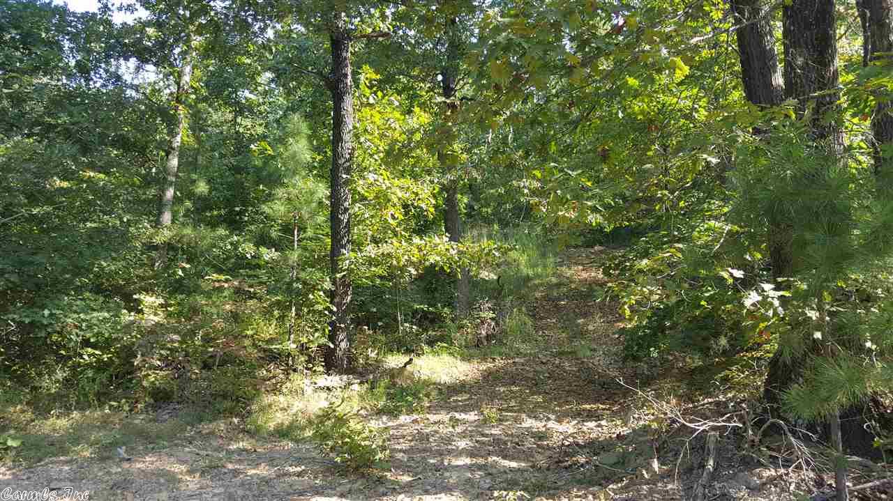 Scenic Drive, Marshall, AR 72650