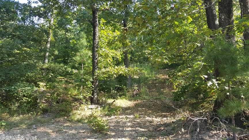 Scenic Drive, Marshall, AR 72650