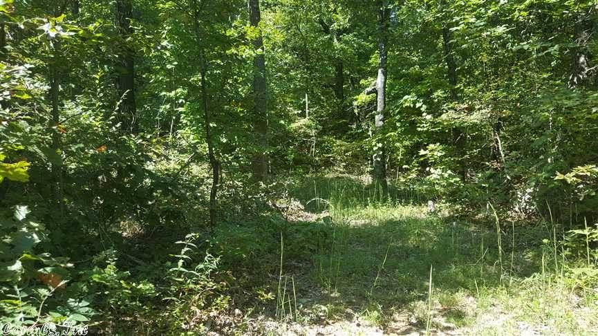 Scenic Drive, Marshall, AR 72650