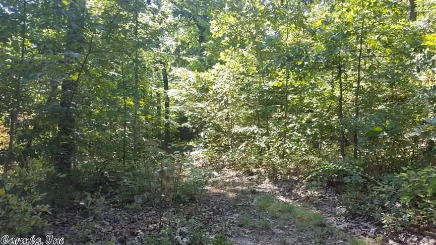 Scenic Drive, Marshall, AR 72650