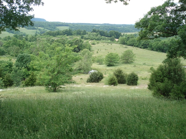 Sunset Mountain Road, Marshall, AR 72650