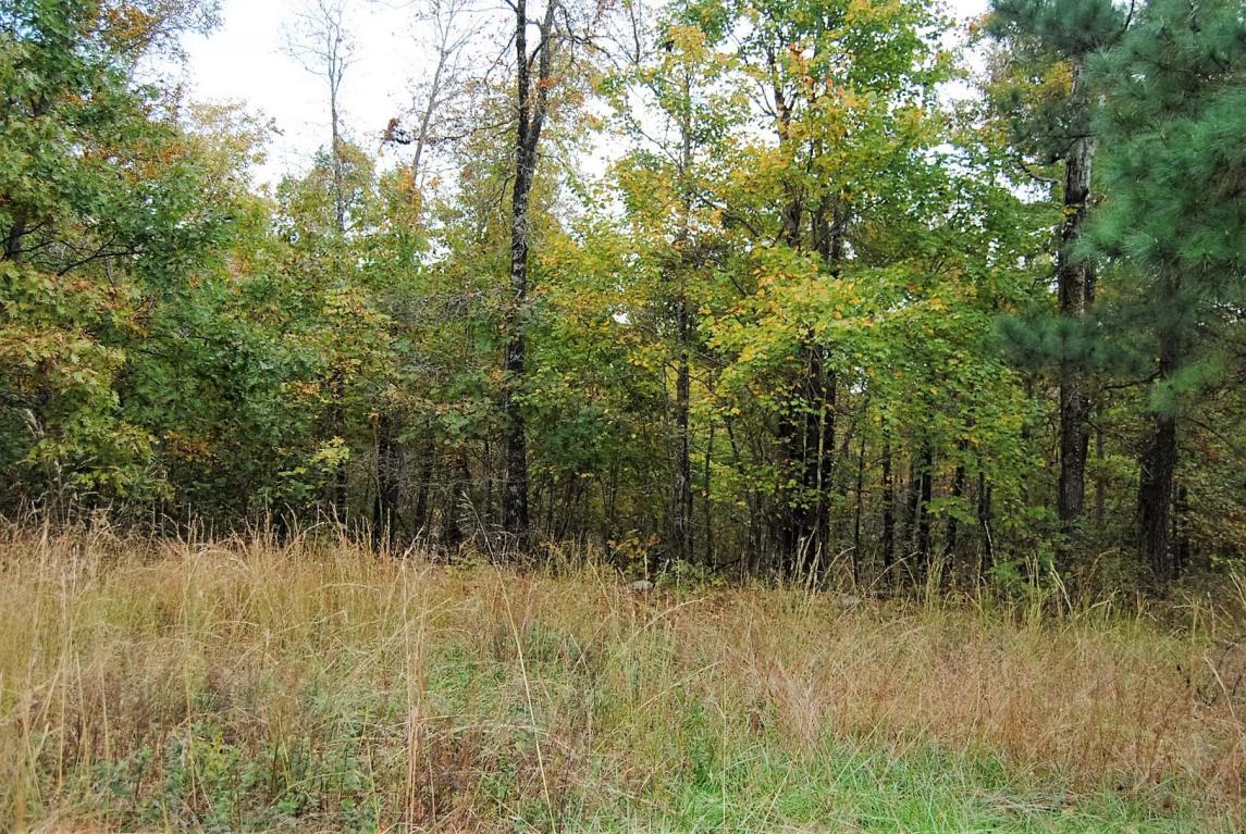 240 YEOMAN Drive, Marshall, AR 72650