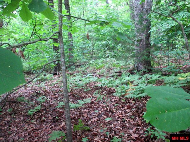 0000Round-up Lane, Mountain Home, AR 72653