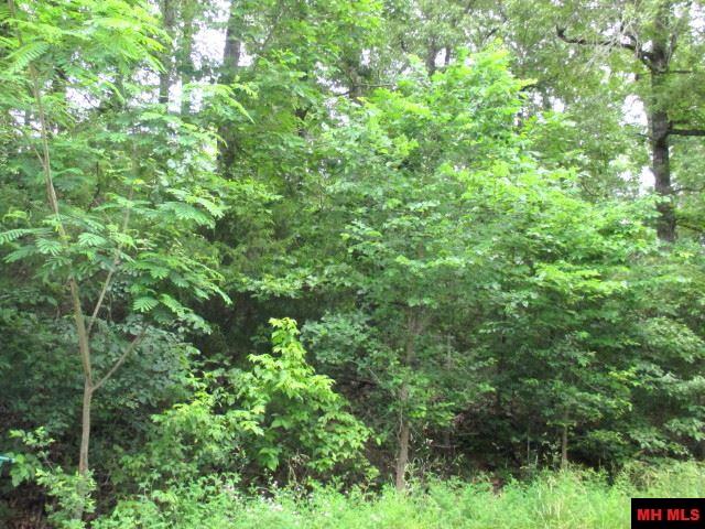 0000Round-up Lane, Mountain Home, AR 72653
