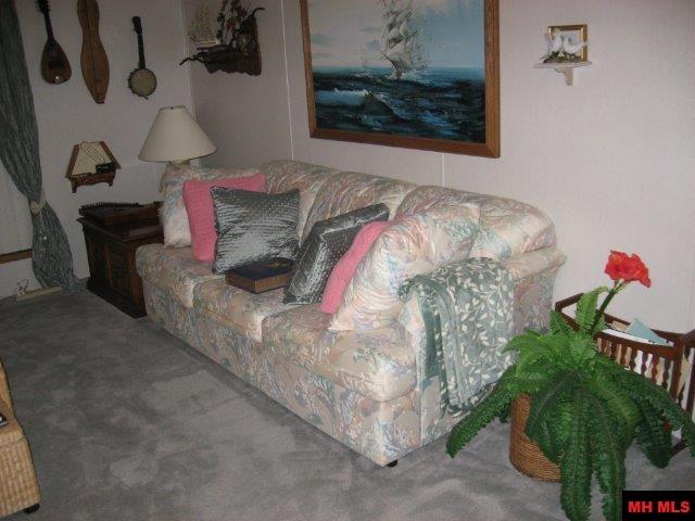 11538Hwy 201 South, Mountain Home, AR 72653