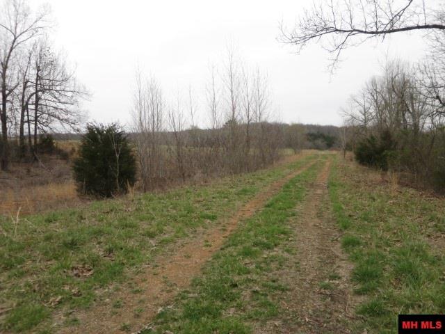Off BRUNSON LANE, Mountain Home, AR 72653