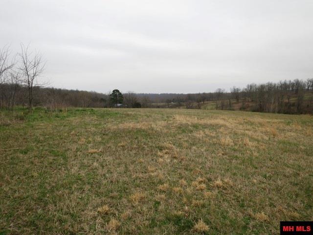 Off BRUNSON LANE, Mountain Home, AR 72653