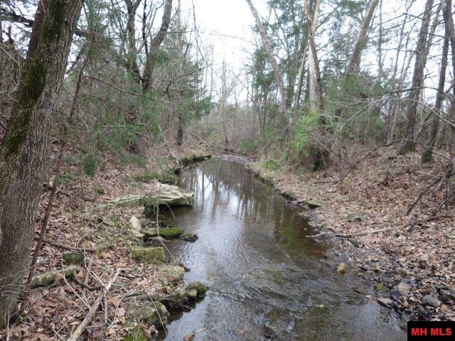 Off BRUNSON LANE, Mountain Home, AR 72653