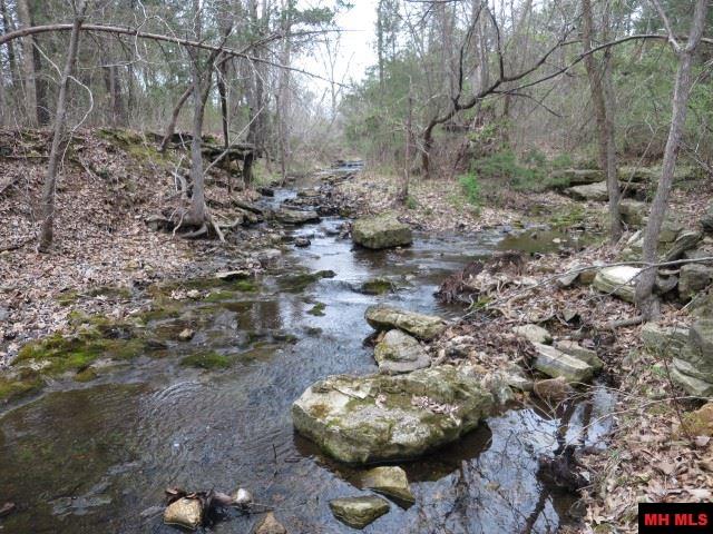 Off BRUNSON LANE, Mountain Home, AR 72653
