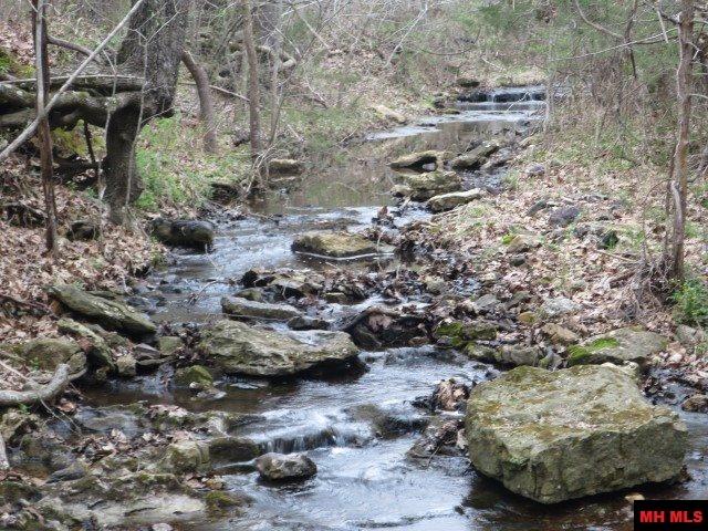 Off BRUNSON LANE, Mountain Home, AR 72653