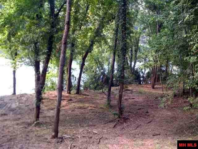 TRACT A SHIPPS FERRY LANE, Norfork, AR 72658