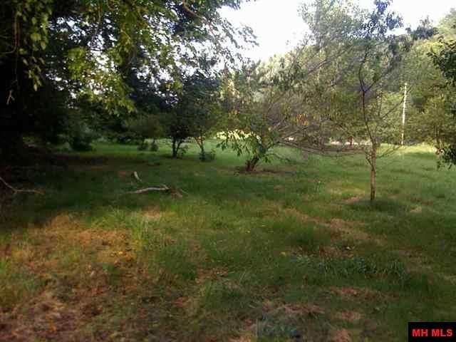 TRACT A SHIPPS FERRY LANE, Norfork, AR 72658