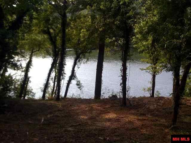 TRACT A SHIPPS FERRY LANE, Norfork, AR 72658