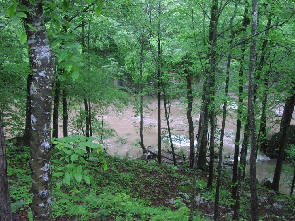 8465 County Road, Parthenon, AR 72666