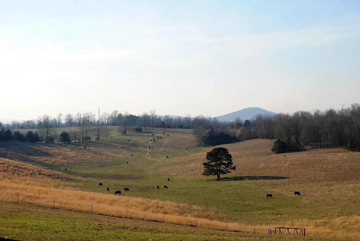 1249 OSBOURN Road, St Joe, AR 72675