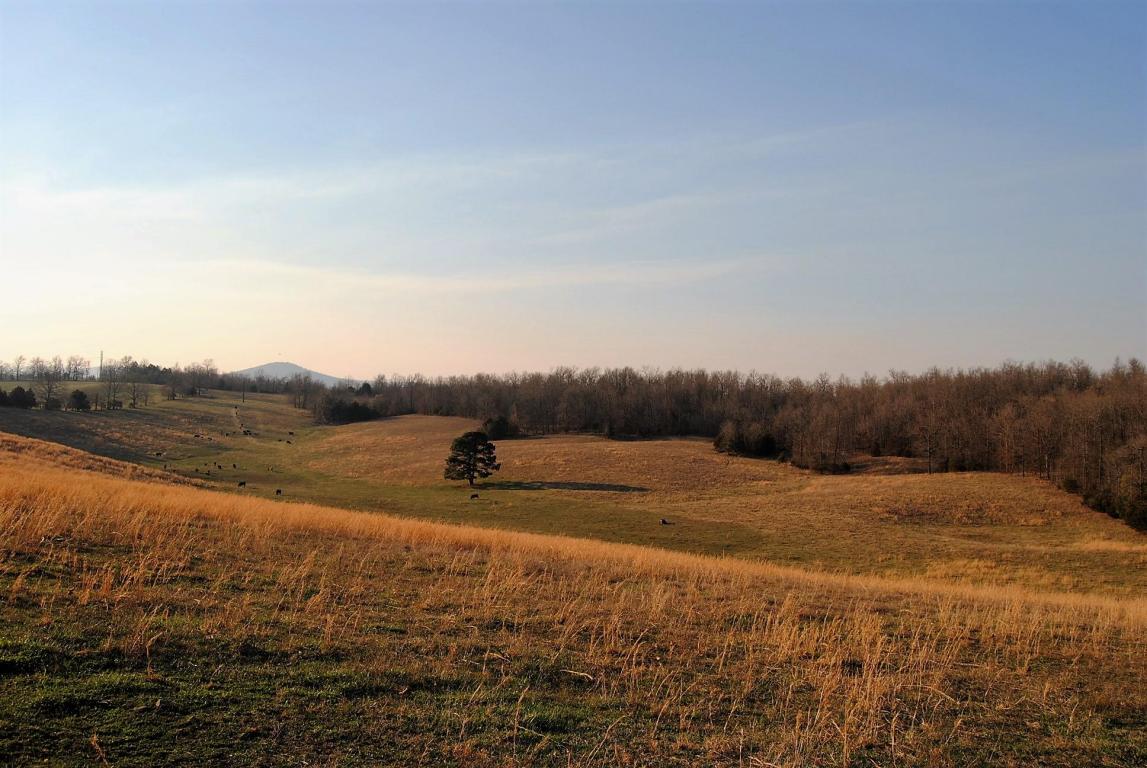 1249 OSBOURN Road, St Joe, AR 72675