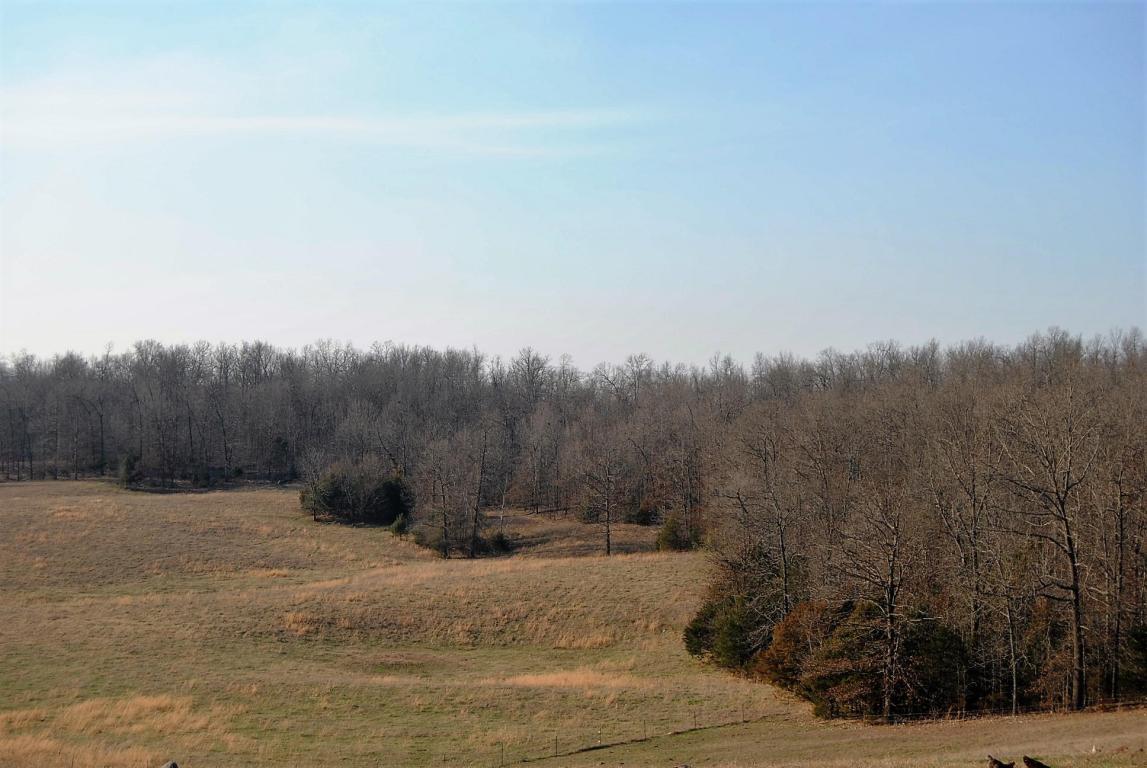 1249 OSBOURN Road, St Joe, AR 72675
