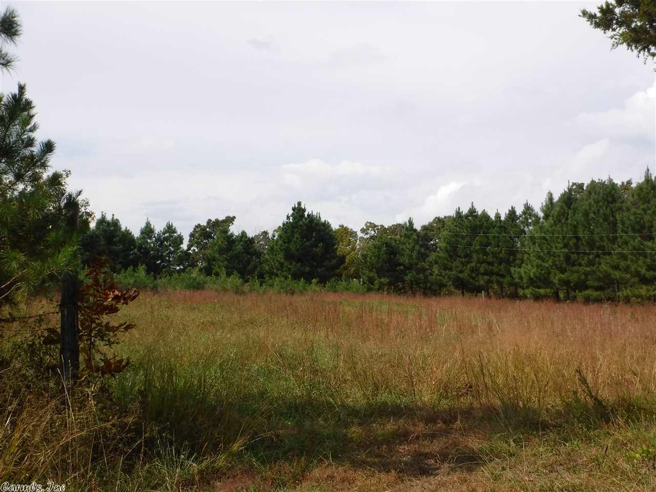 13425 S. R. 16, Witt Springs, AR 72686