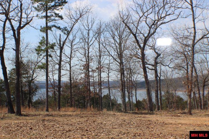 668 KINGDOM LANE, Yellville, AR 72687