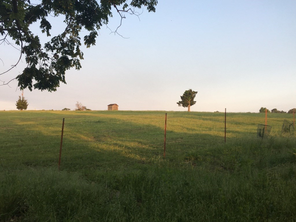 NW RivercrestRD, Fayetteville, AR 72701