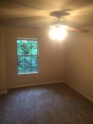 1758N ChestnutAVE, Fayetteville, AR 72703