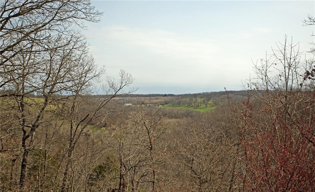 13680 HaleyRD, Bella Vista, AR 72714