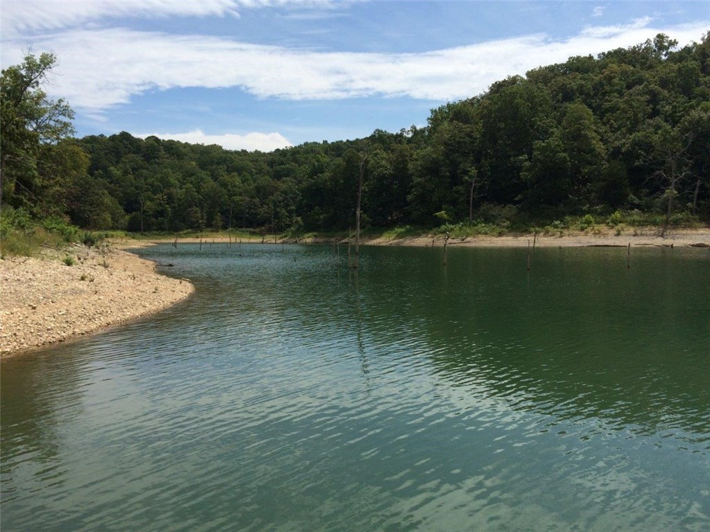 15.48 AC DreamcatcherCOVE, Garfield, AR 72732
