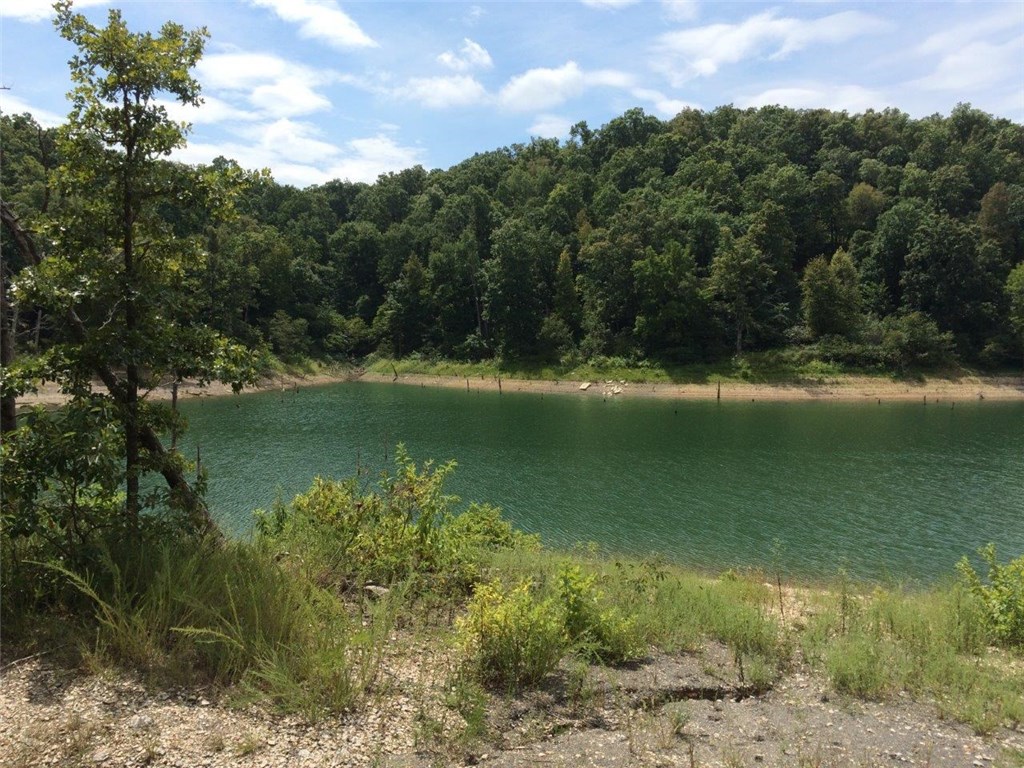 15.48 AC DreamcatcherCOVE, Garfield, AR 72732