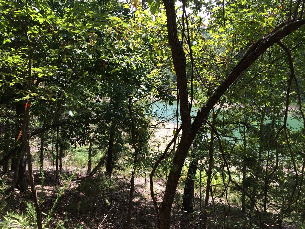 15.48 AC DreamcatcherCOVE, Garfield, AR 72732