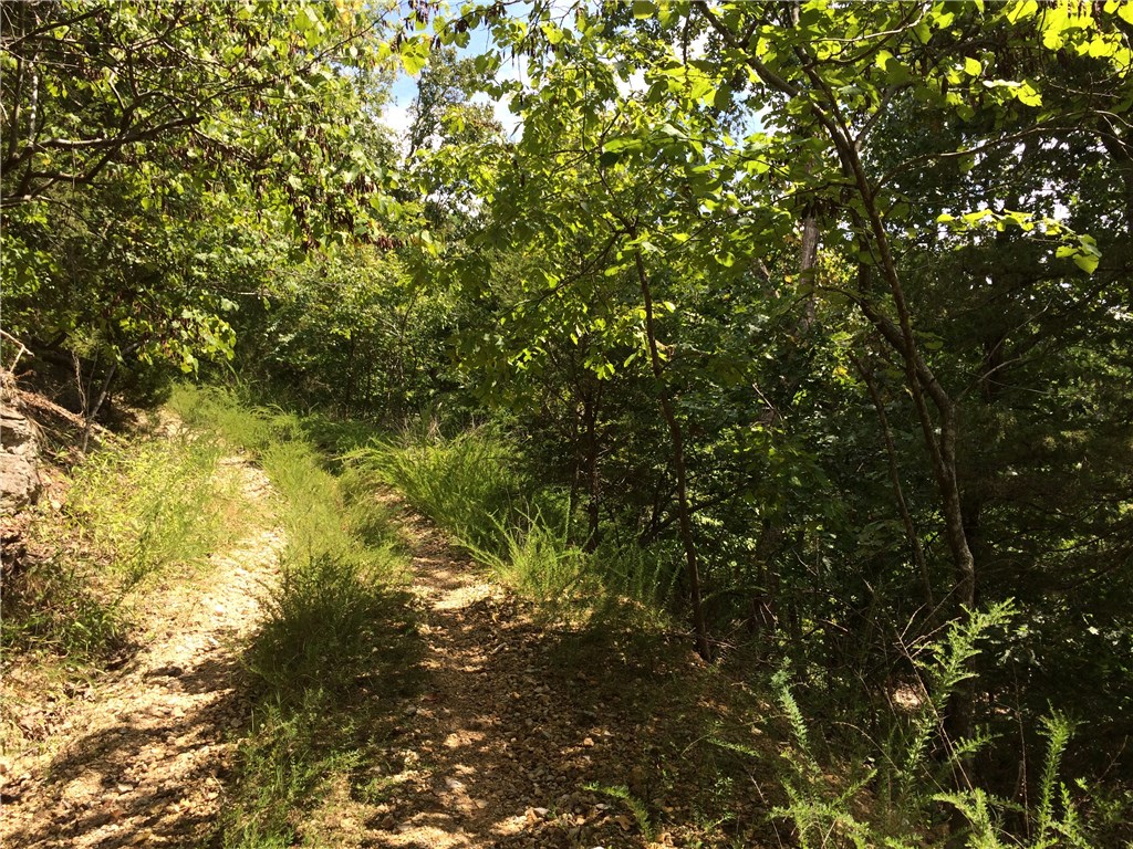 15.48 AC DreamcatcherCOVE, Garfield, AR 72732