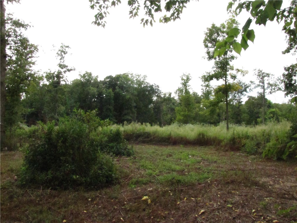 21093 Highway 72, Gravette, AR 72736