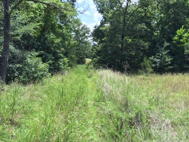 20 AC Hwy 21 South, Huntsville, AR 72740